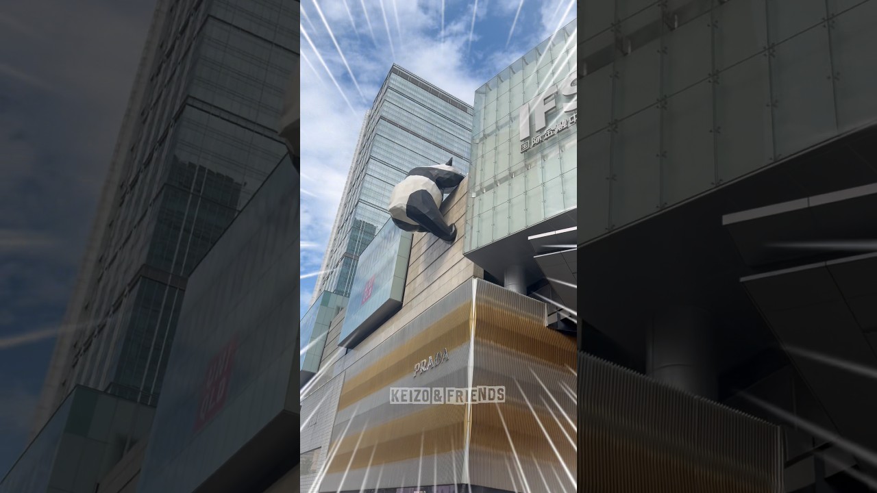 Keizo di prank panda mau jatuh dari gedung tapi kok malah senang⁉️