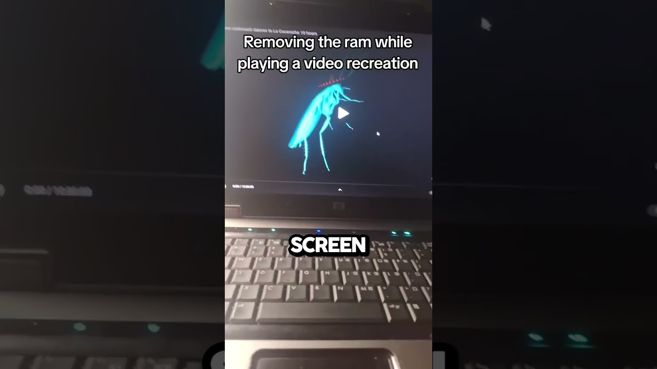 Removing Ram From A Computer - Published by Fizzy Shorts