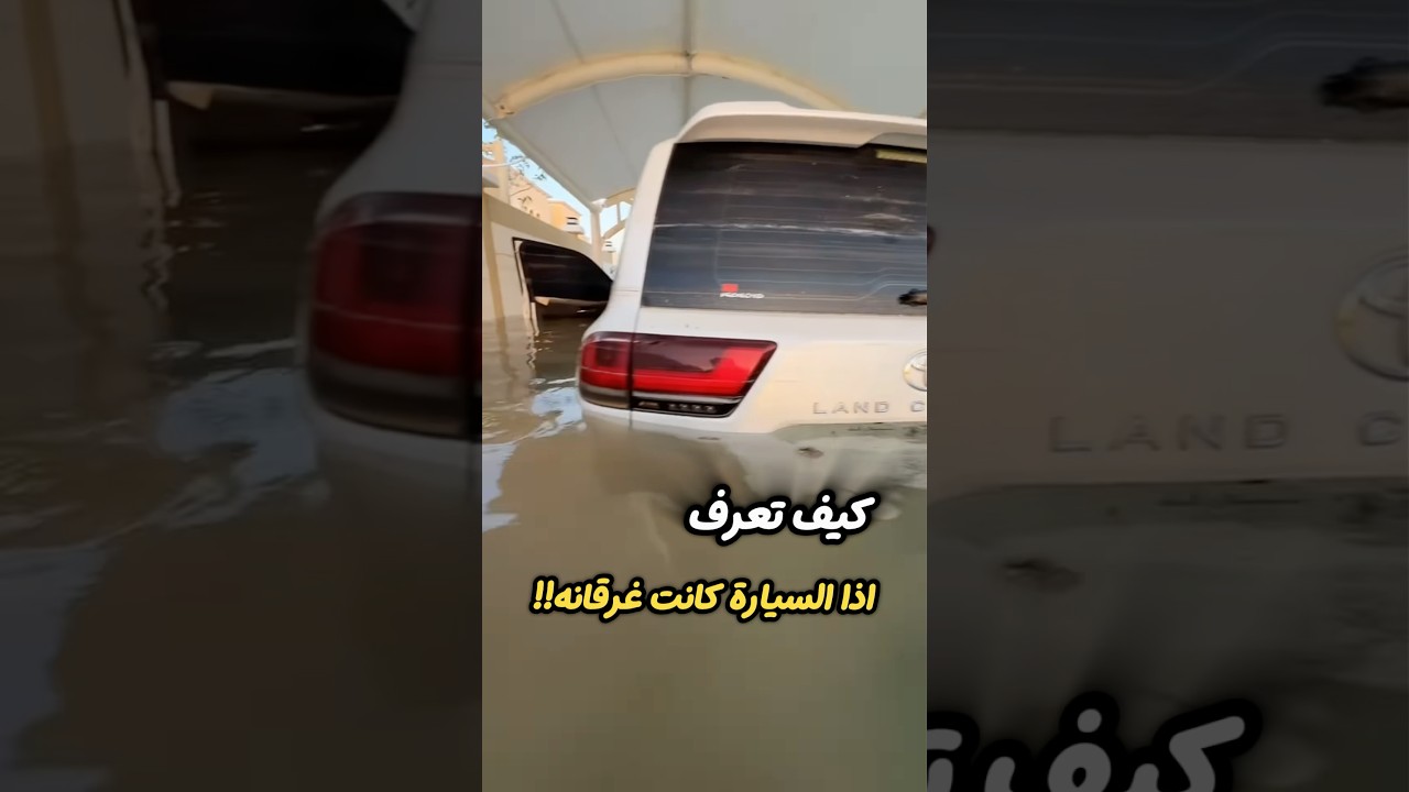 كيف تكشف غش السيارات