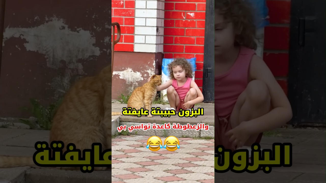 البزون حبيبتة عايفتة والزعطوطة تواسي بي 😂