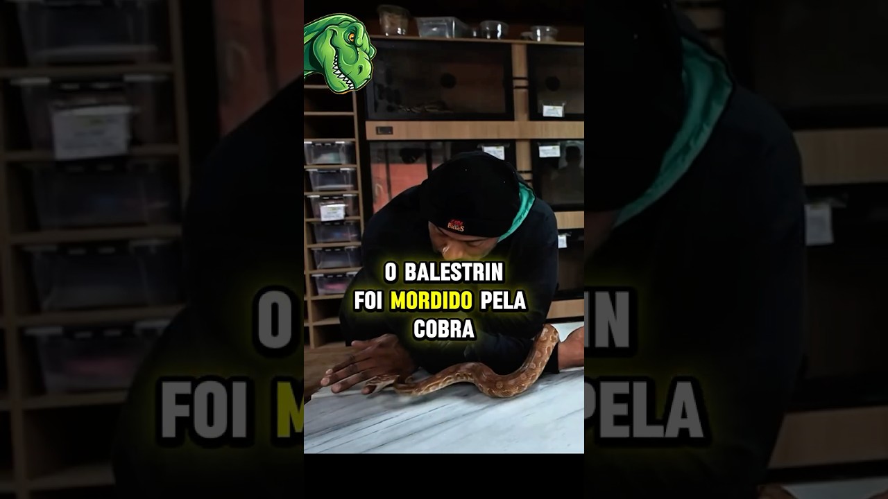 JULIÃO FOI MORDIDO PELA COBRA NO MEIO DO VÍDEO 😳👆 #juliobalestrin #renatocariani #richardrasmussem