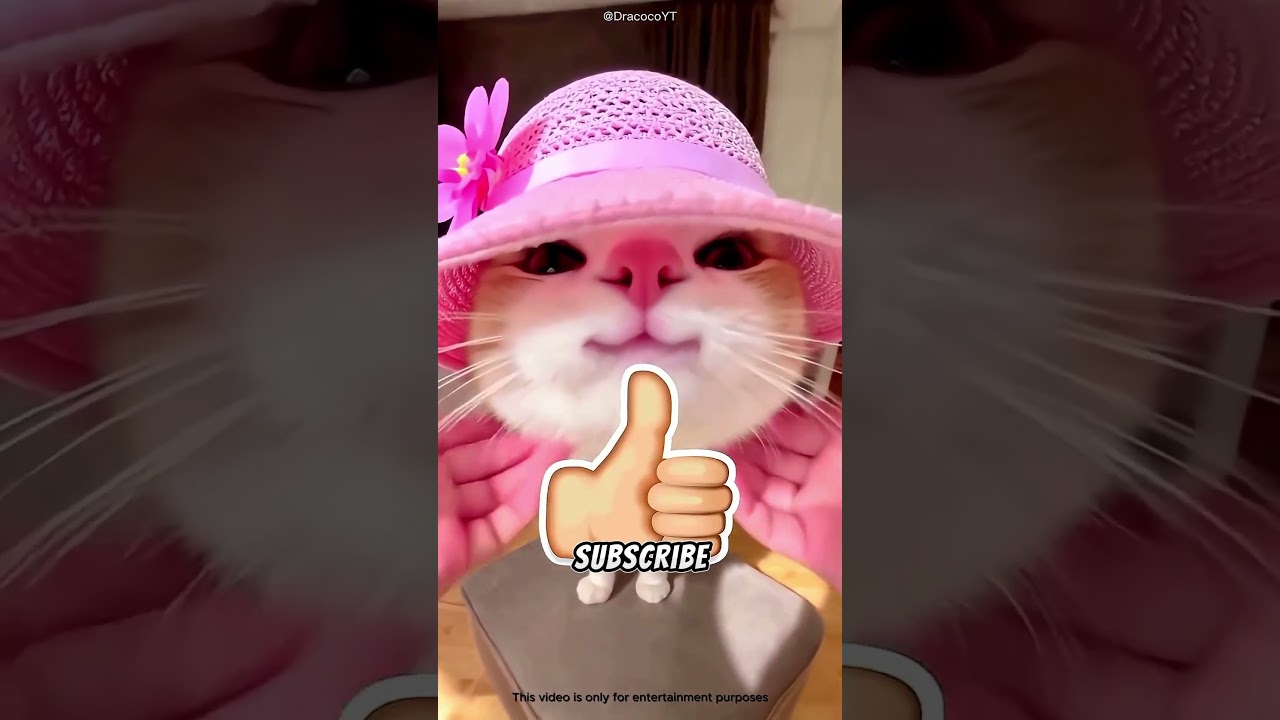 😱 Ada yang Bergerak di Bawah Selimut, Ending-nya Tak Terduga! #shorgsclip