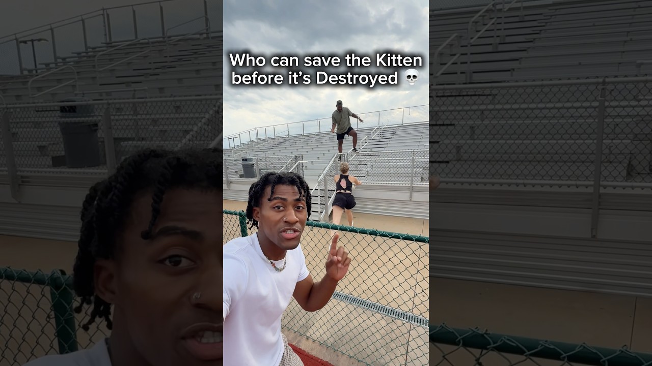 Who can Save the Kitten before it’s Destroyed 💀