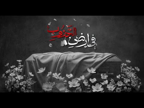 في أرض الجنوب | الرادود محمد متيرك