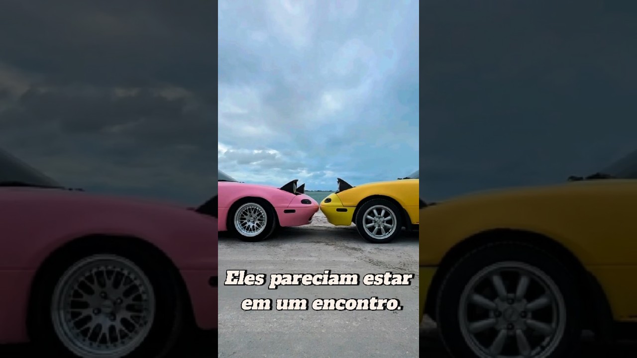 Esses carros pareciam apaixonados