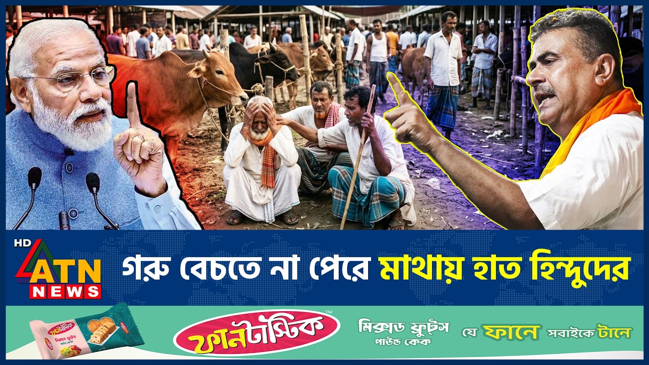 ভারতে গরু কিনছেনা মুসলিমরা, মাথায় হাত হিন্দু ব্যবসায়ীদের | Indian Cow | Hindu Traders | ATN News