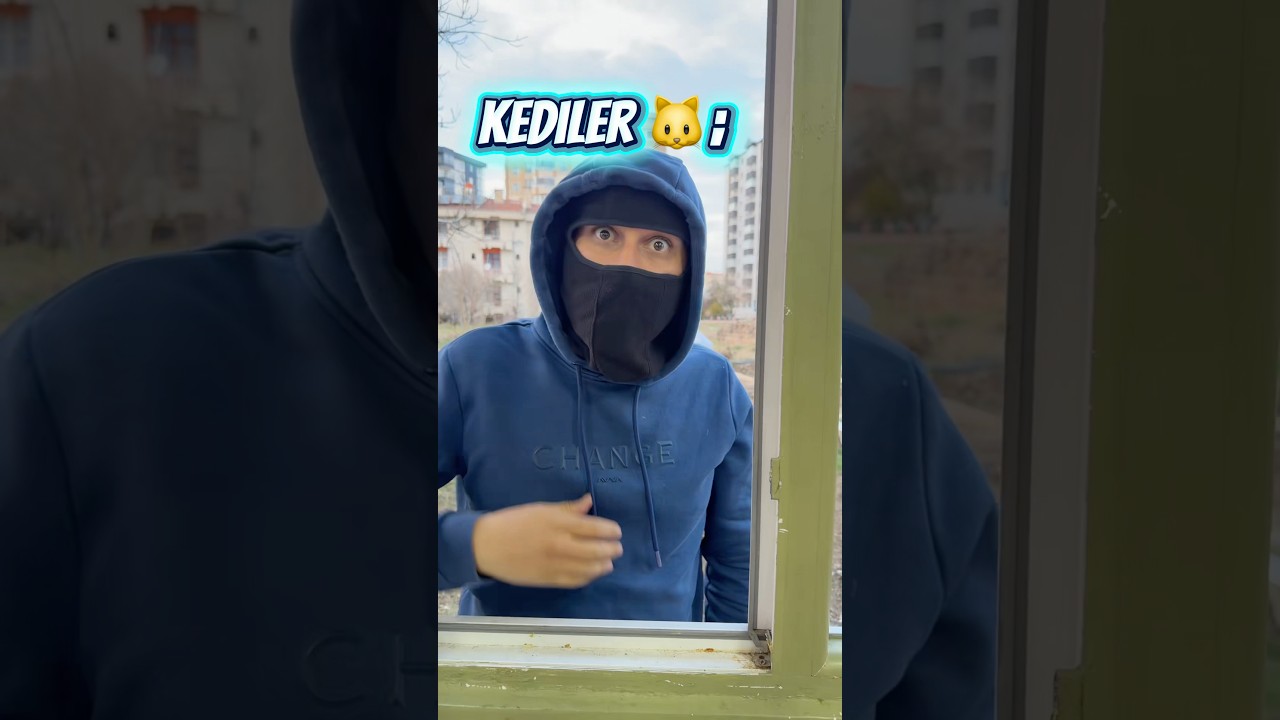 Eve hırsız girince köpekler vs kediler