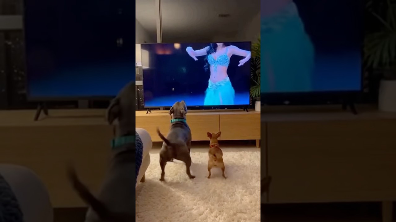 When the TV turns off but the dance party isn’t over yet 😂❤️