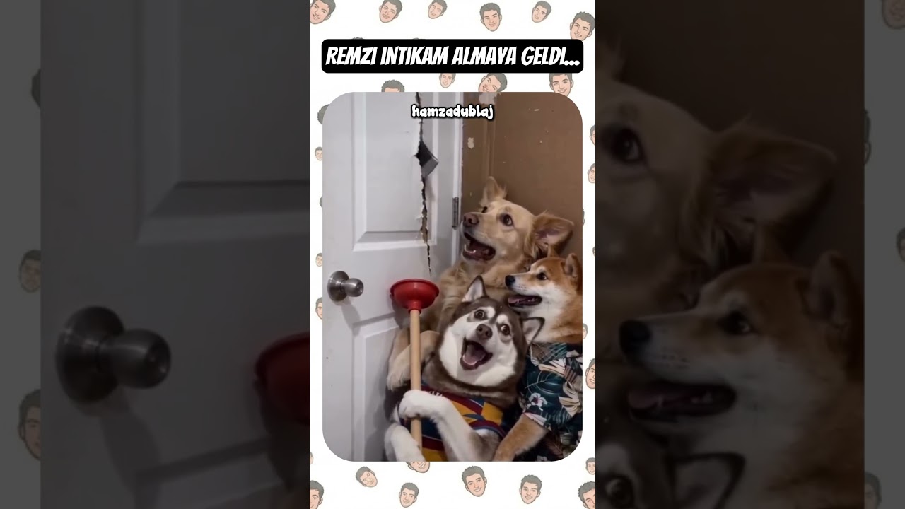 REMZİ GELDİ... 🔨🚪