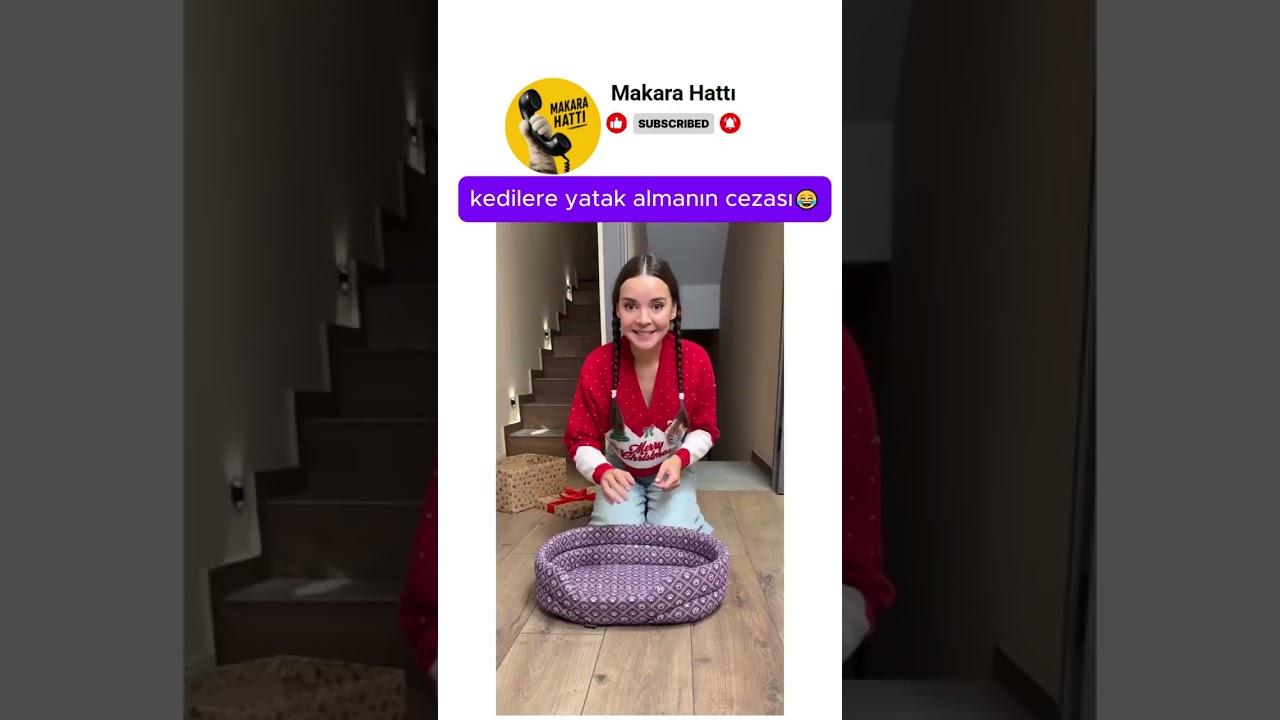 kedilere yatak almanın cezası 😂