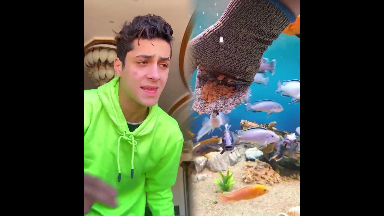 لما تروح تجيب النتيجه بتاعتك 😂😂