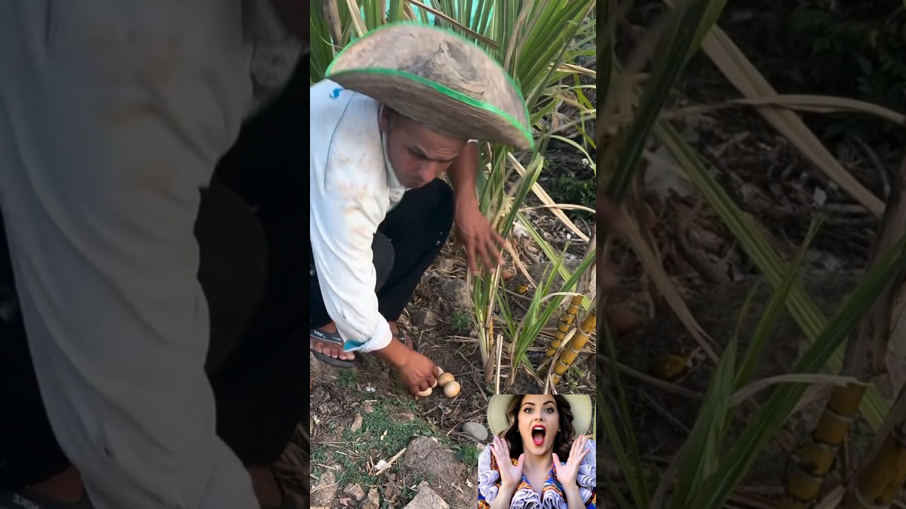 اخد البيضه وجري😂#funny #كوميديات #comedy