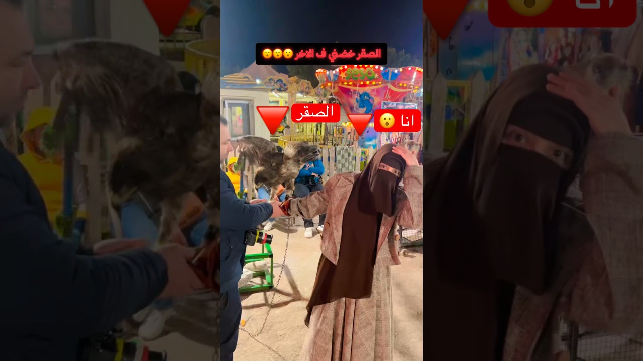 بسبب المنتقبه صاحب الصقر عمل حاجه غريبه #طباعة_تيشرتات