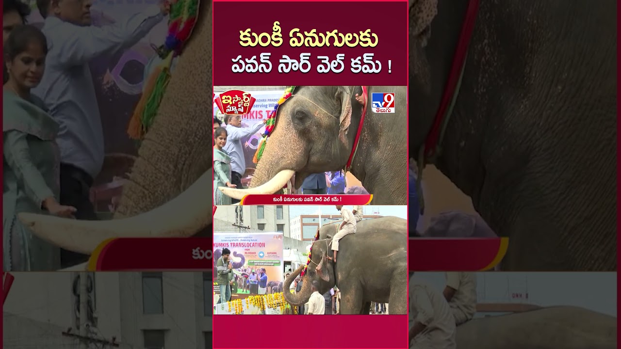iSmart News : కుంకీ ఏనుగులకు పవన్ సార్ వెల్ కమ్ !   | Pawan Kalyan - TV9