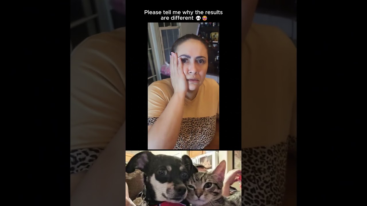 🤣👌2026 pov Must-Watch Crazy Clips Compilation #humor #fypシ #pov #fyp #foryou 😍😜