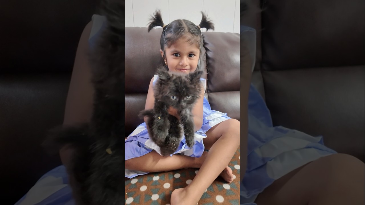 Luna & Lucy-க்கு First Vaccination Done 🐾💉 | Lucyக்கு மட்டும் இந்த Problem! 😯❤️ #shorts