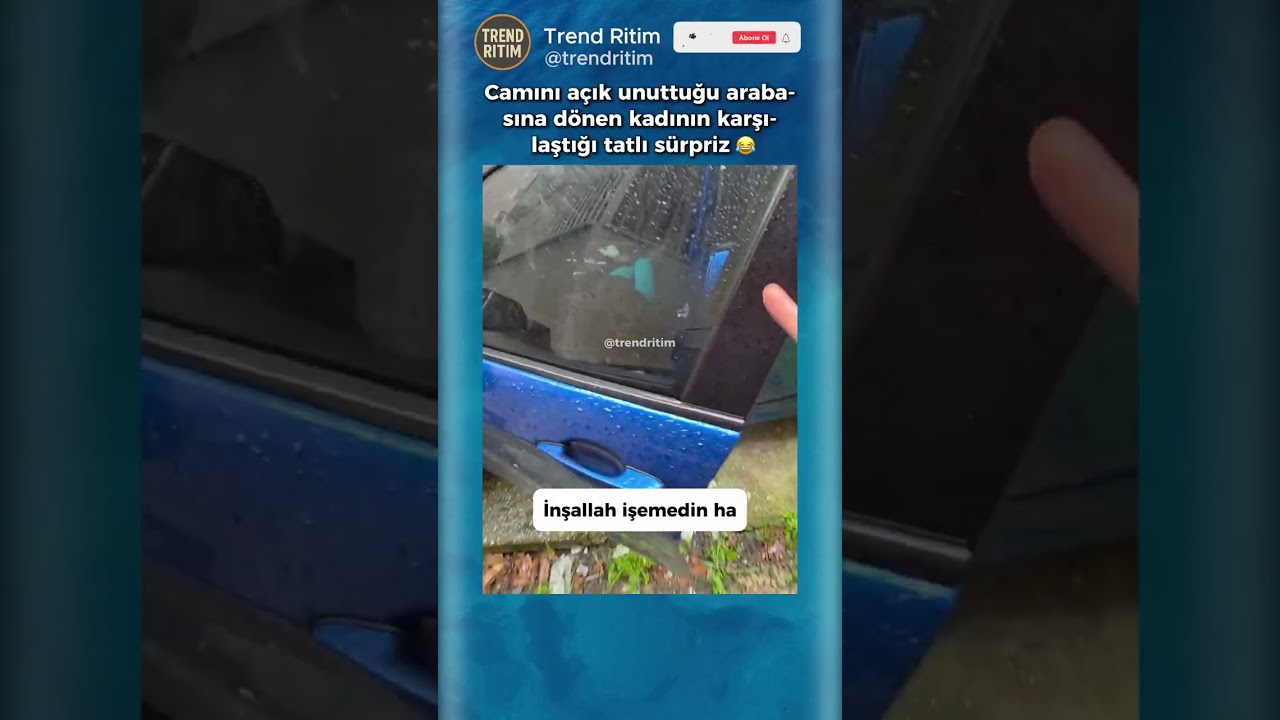 Arabasının Camını Açık Unutan Kadının Karşılaştığı Sürpriz 😂🥰