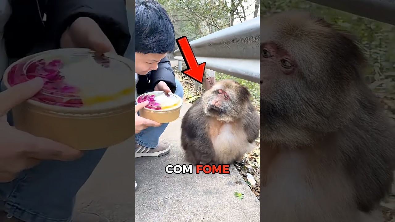 ELA ESTAVA COM MUITA FOME 😭