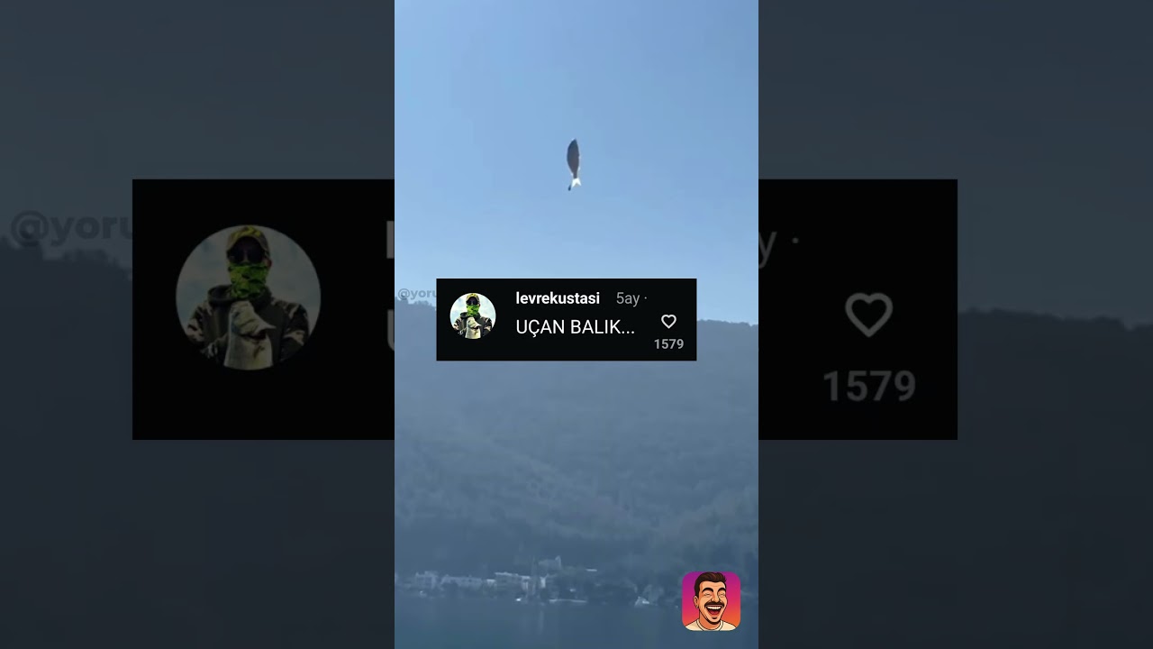 Balıkçılar çıtayı çok yükseltti 😂