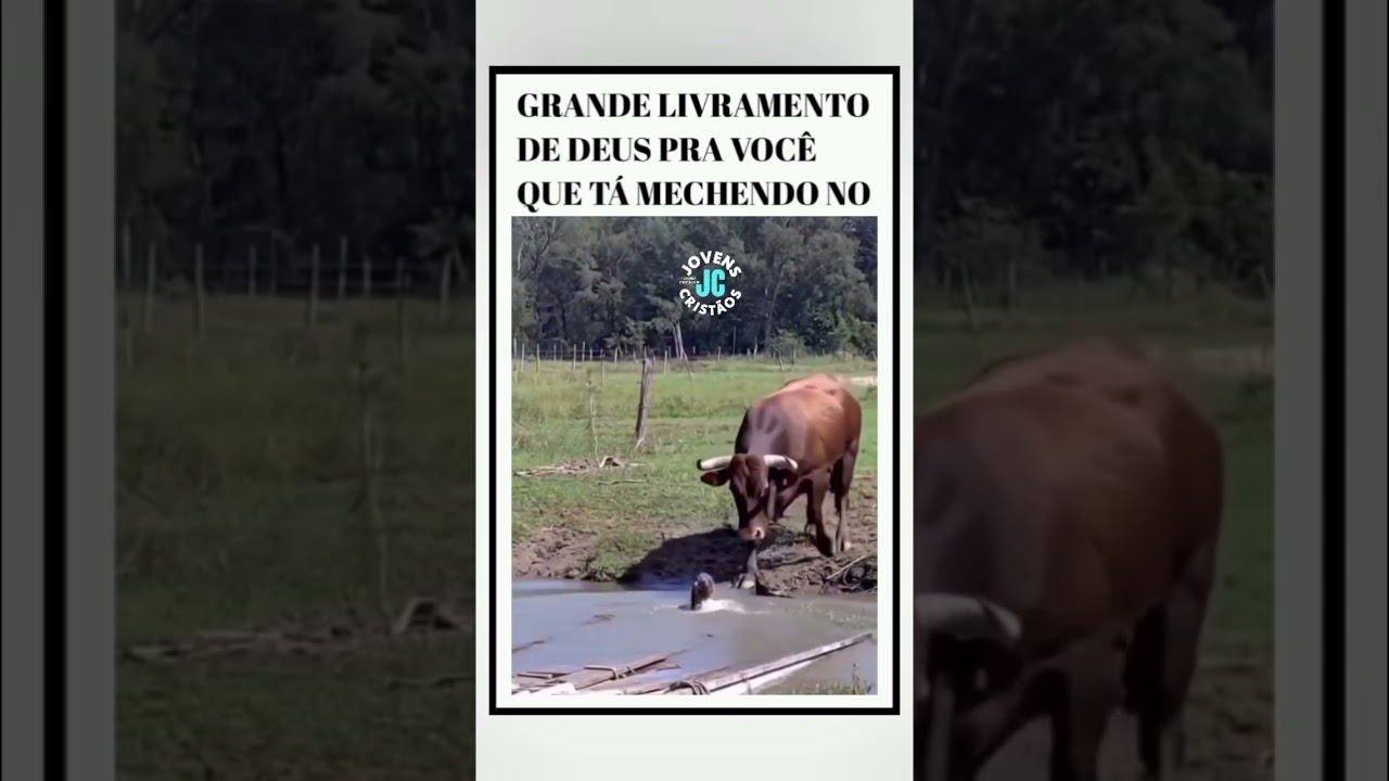 #Grande #Livramento de Deus