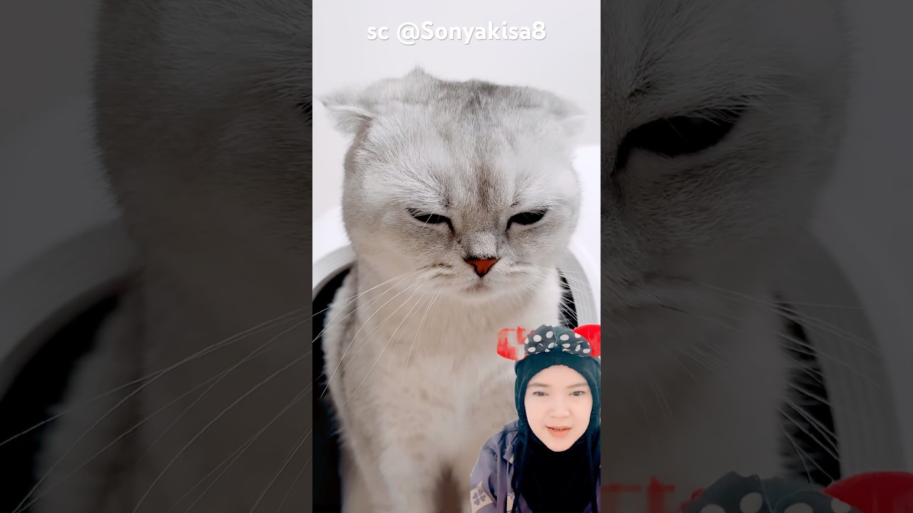 ganti pake yang canggih‼️Sonyakisa8