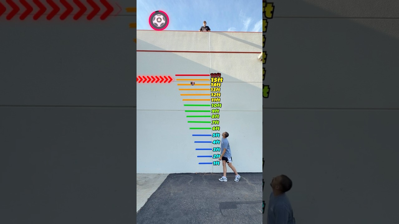 Which Ball Bounces the Highest?