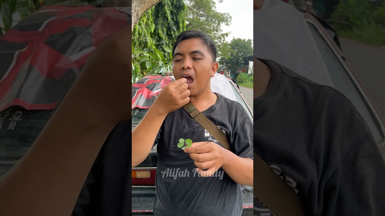 Gawat Ayah Makan Buah Tinta ‼️