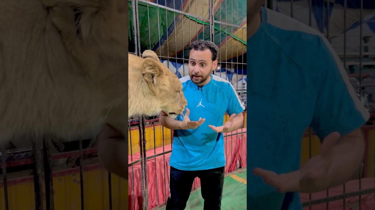 حرامي سرق اللحمة😱