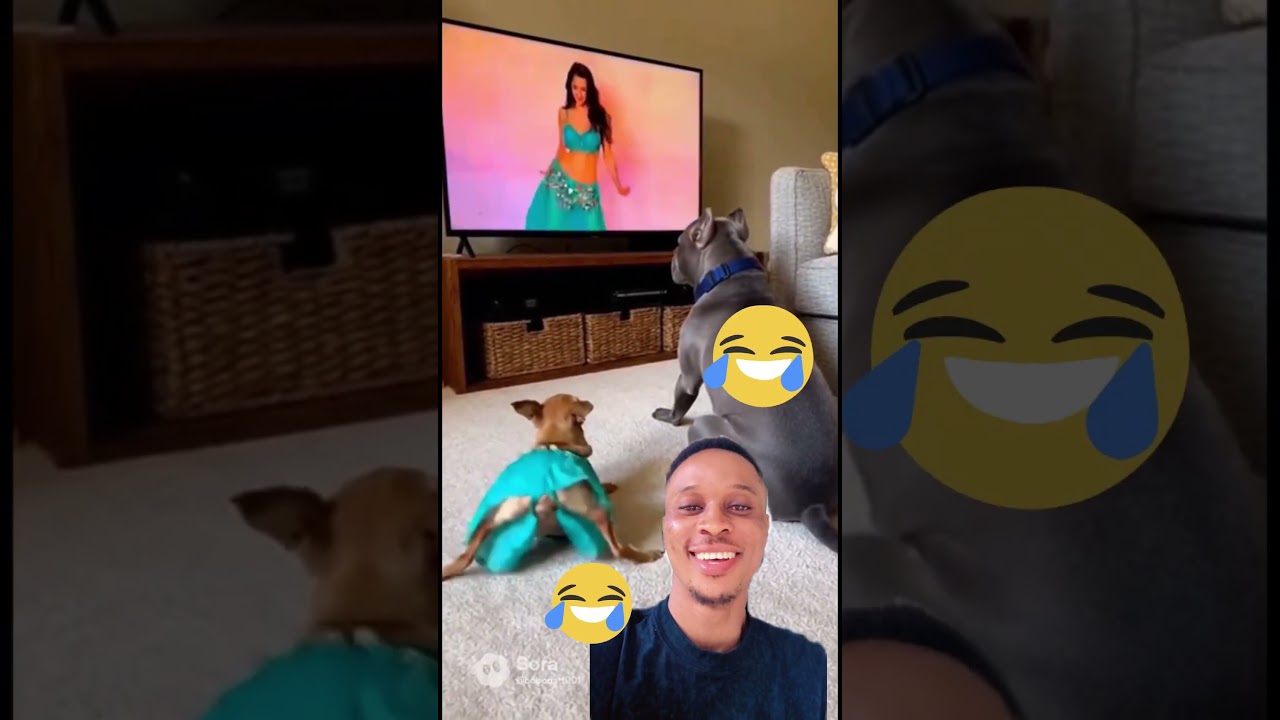 What’s this😂😂😂