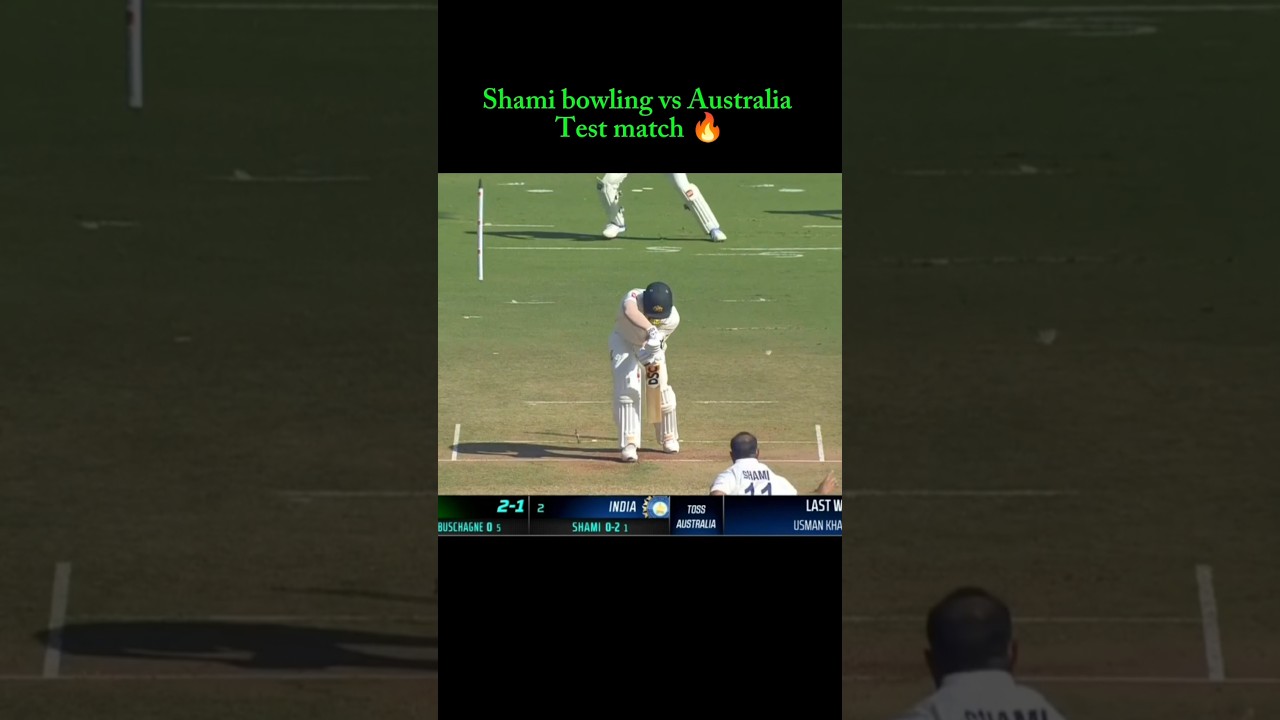 mohammad shami king of test cricket ✅✅#cricket #trending #viral