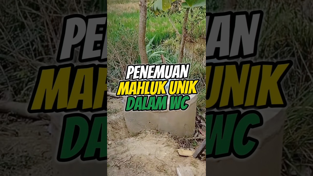 Ihh takutnyo