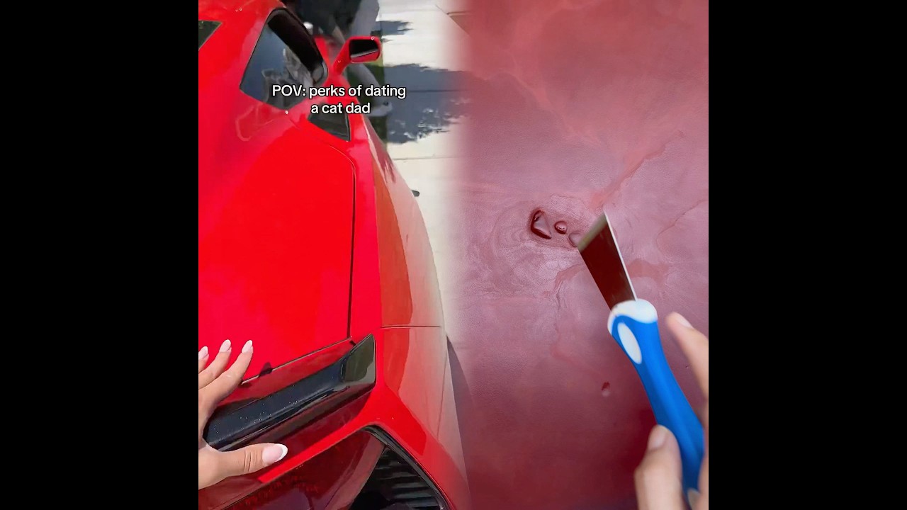 Pre-trained #cat #cats #catlovers #dating #girls #catsofyoutube #pets - Published by รักตัวเอง-99