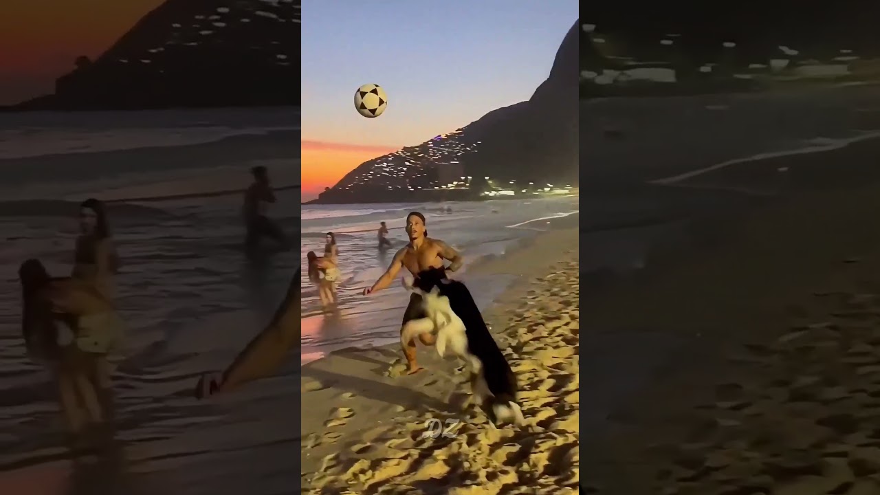 Pov: Footballers as Pets Pt3