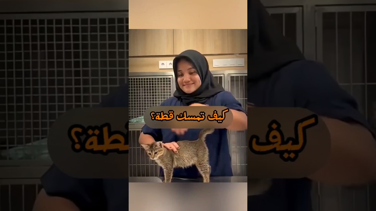 توقف! أنت تؤذي قطتك بهذه الطريقة 🙀🛑