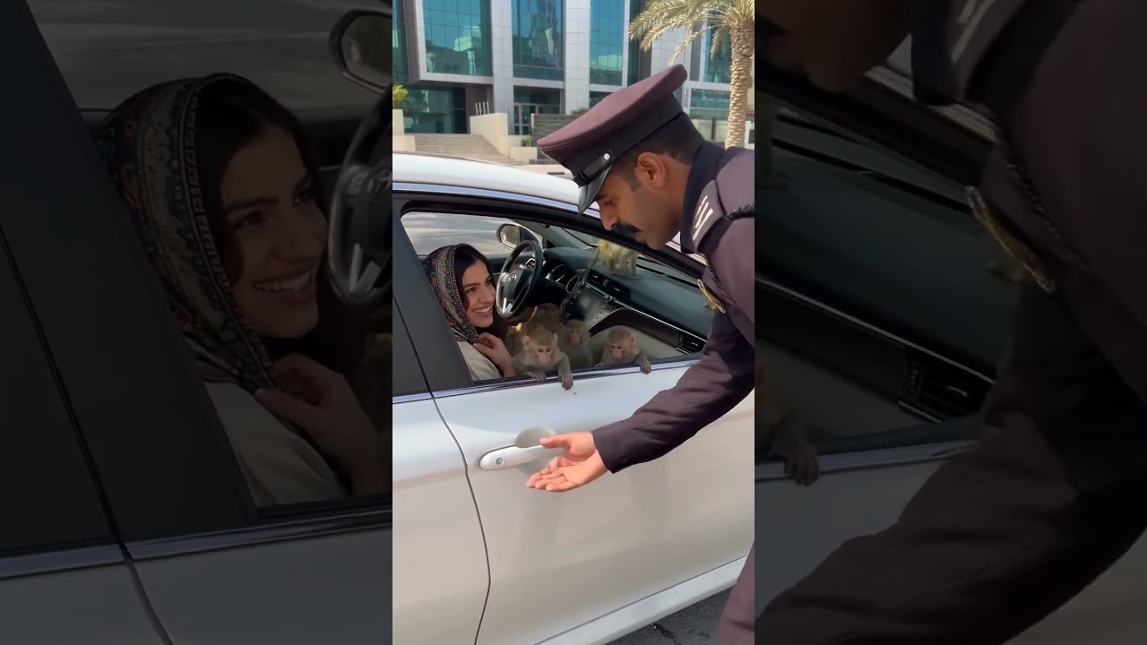 اكثر موقف غريب لضابط مرور في شارع دبي!