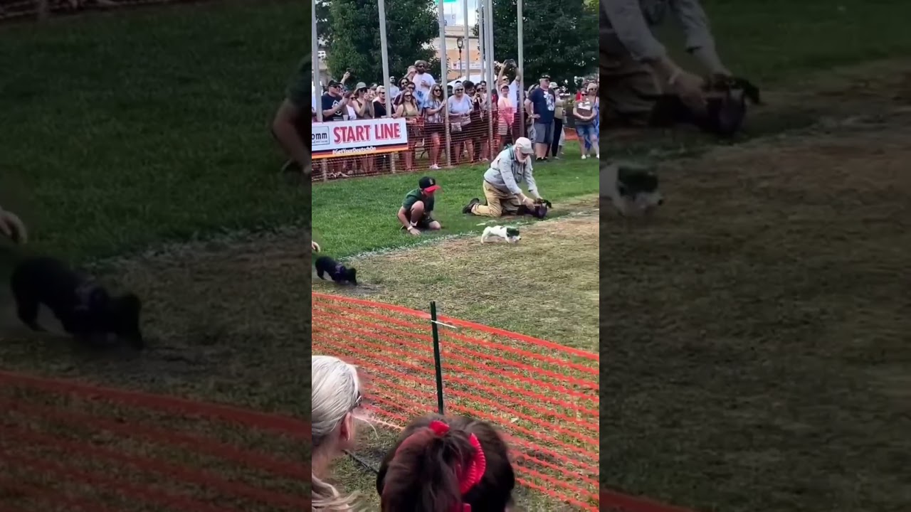 لما أدرك أنه أبطأ من البقية… استخدم حركة غير متوقعة قلبت السباق