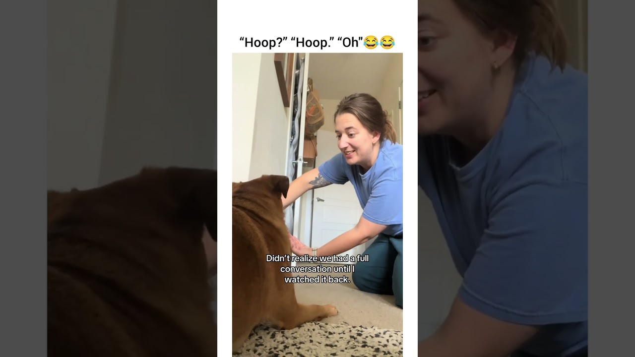 nooo hoop” “hm?” “Go Hoop” “down?” “No hoop” “hoop?” “Hoop” “oh..” 🐶😂 #dog #dogshorts #dogvideos