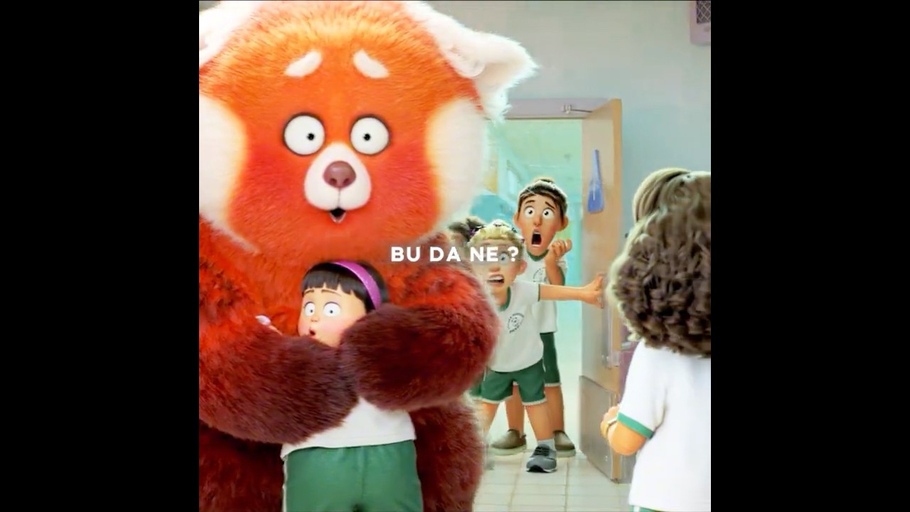 Kırmızı Panda Bir Anda Popüler Oldu!