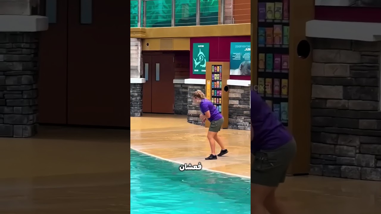 رمت الزبالة في البسين… فالحيوان لقّنها درس! 😱🦭