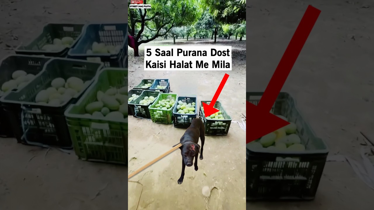 5 Saal Purana Dost Mila lekin 😭
