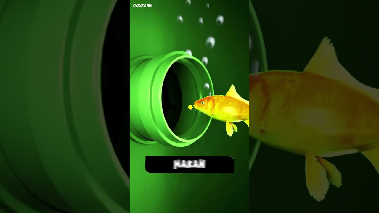 ikan yang selamat dari kematian #shorts