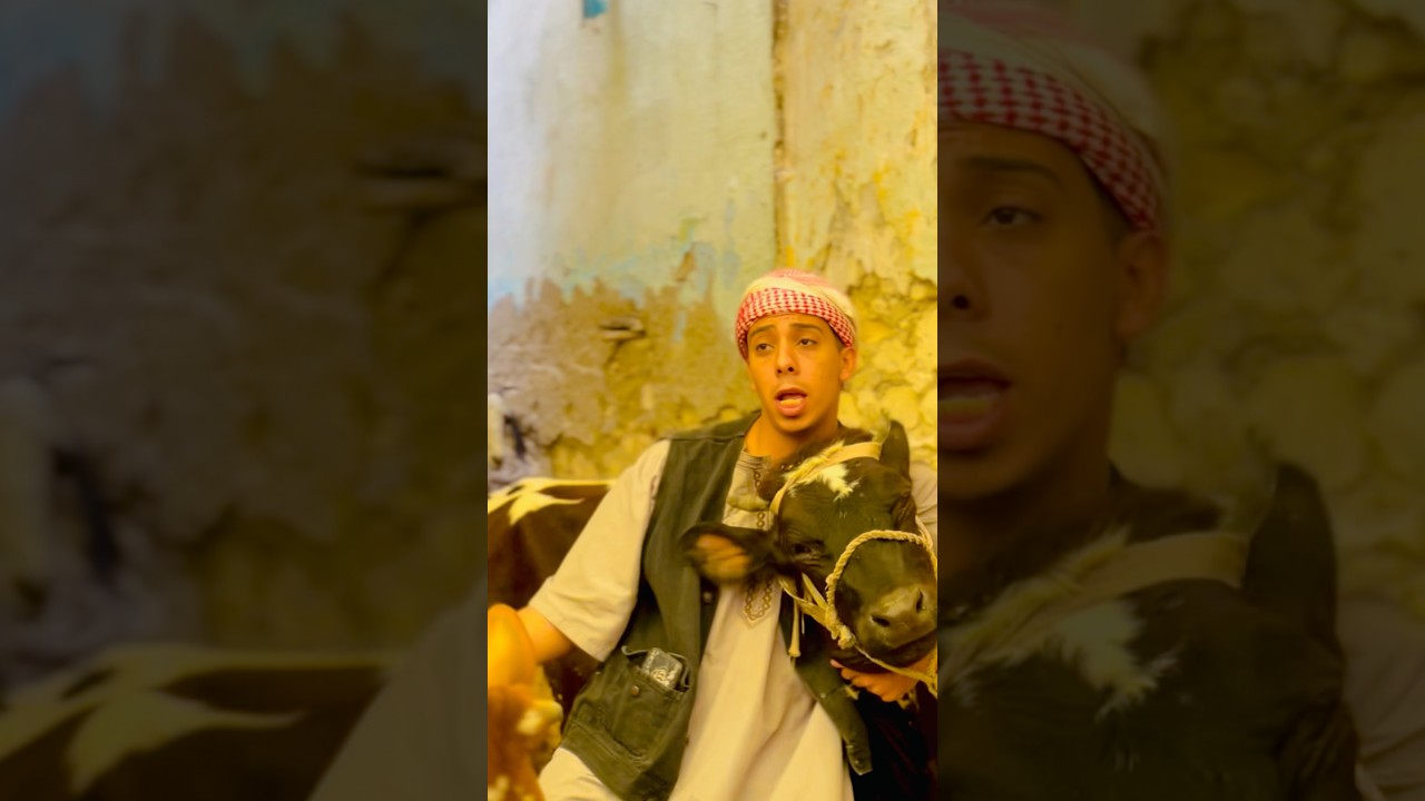 العجول في العيد 😂♥️