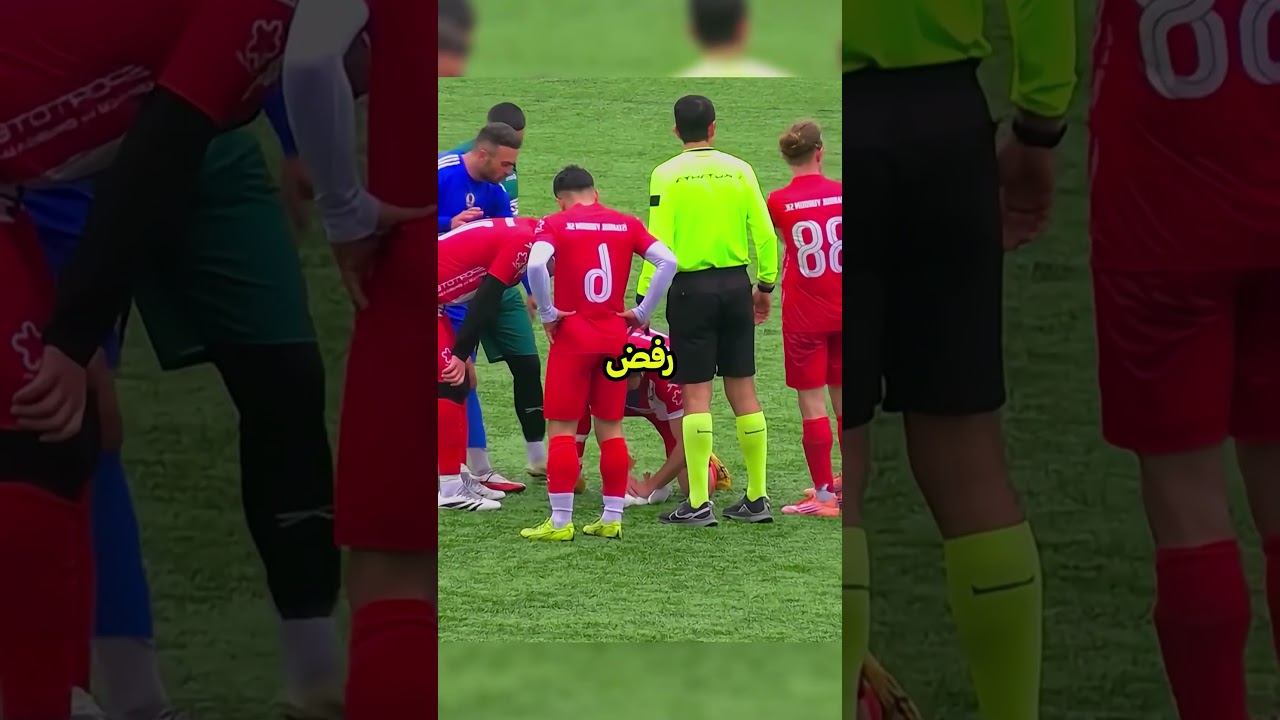أنقذ نورسا بالإنعاش القلبي الرئوي