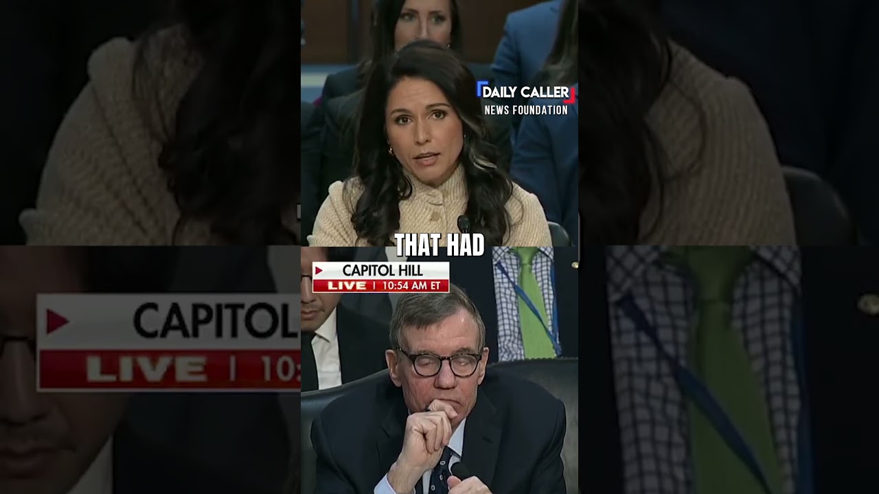 Tulsi MANHANDLES Raging Dem With Ease Over Fulton County Accusation