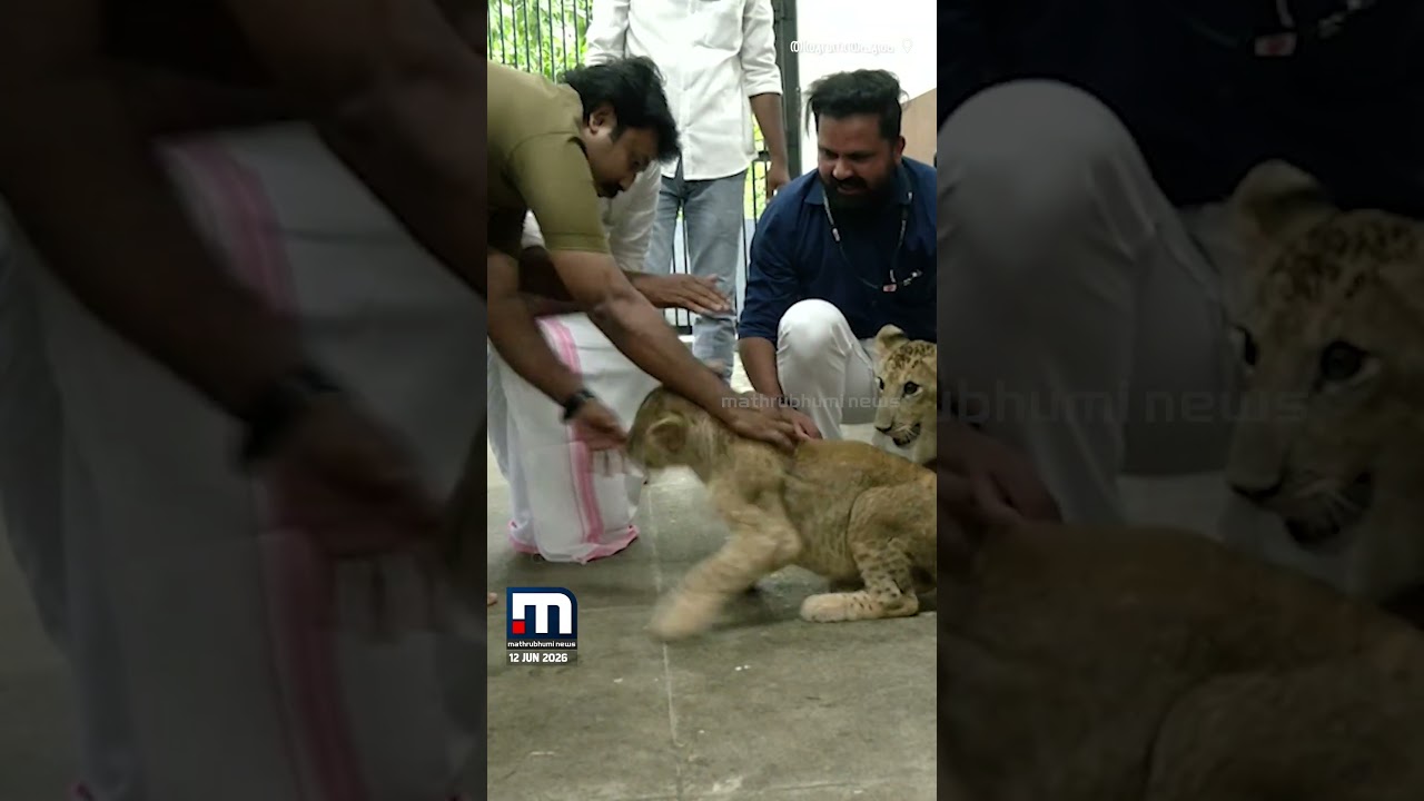 ഹായ് മന്ത്രി... ഞാൻ കാട്ടിലെ രാജാവ്; തിരുവനന്തപുരം മൃഗശാല സന്ദർശിച്ച് മന്ത്രി ഒ.ജെ.ജനീഷ്