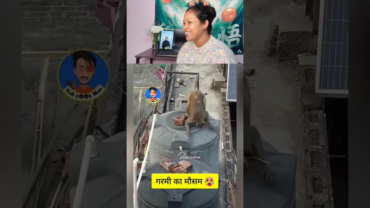 Garmi me swimming ka jugaad 😂🐒 #funnyanimals #desicomedy #viralshorts #monkey