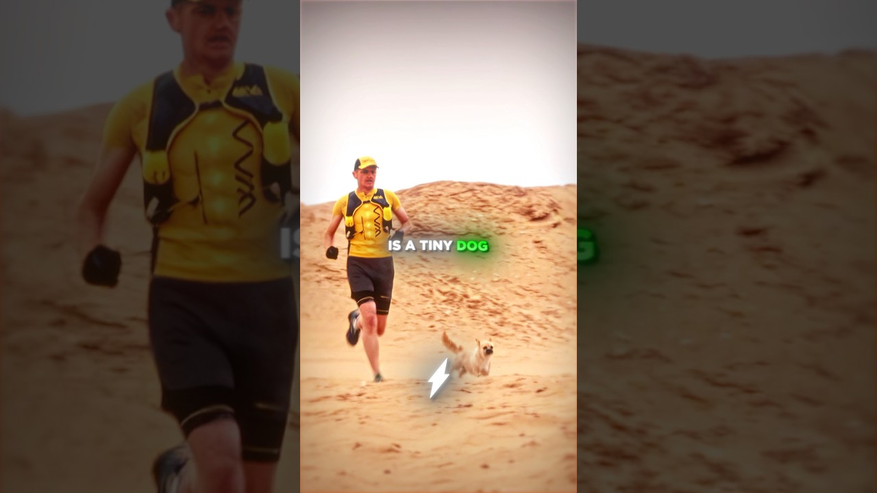 The Dog Wouldn’t Stop Chasing Him…😱🚨