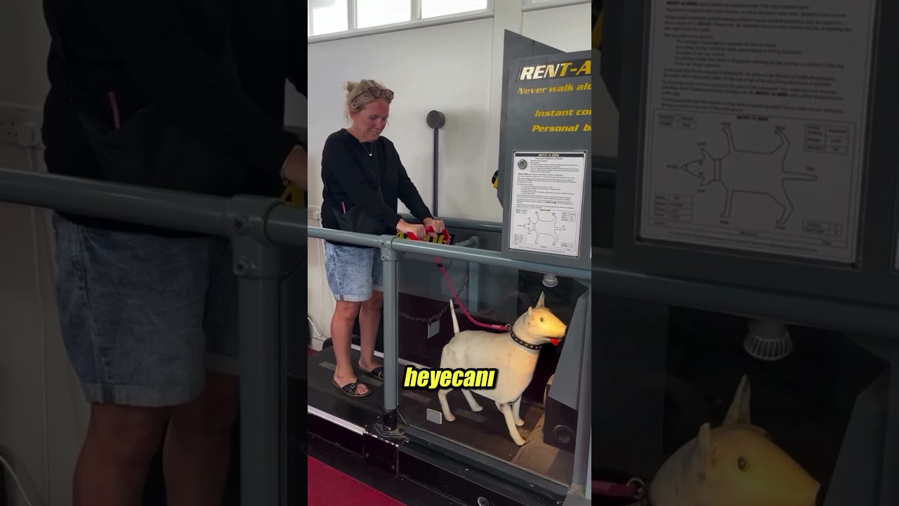 Bu Makine Köpek Sahipleriyle Dalga Geçiyor! 🤭