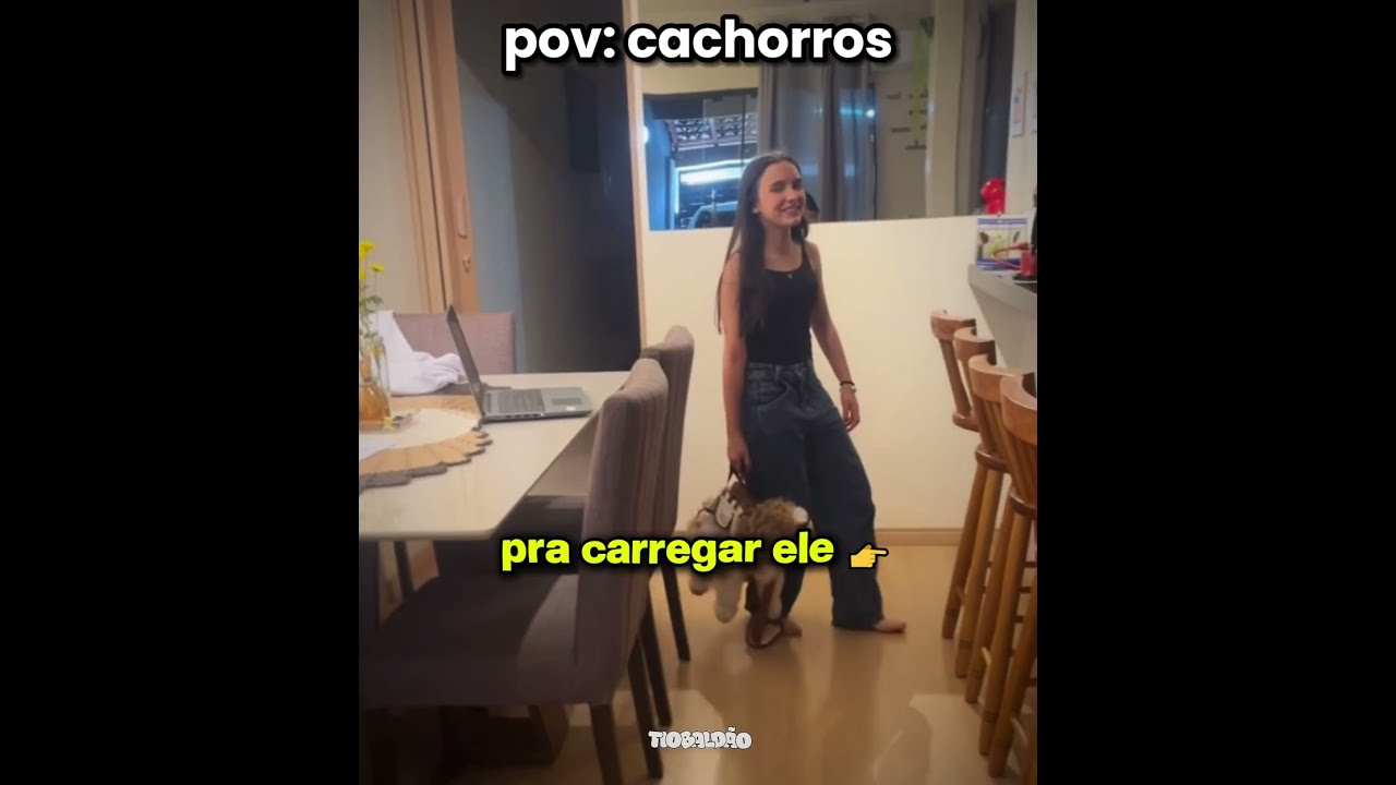 o cachorro trabalhador kkkkk l #humor #engraçado #cachorro #shorts