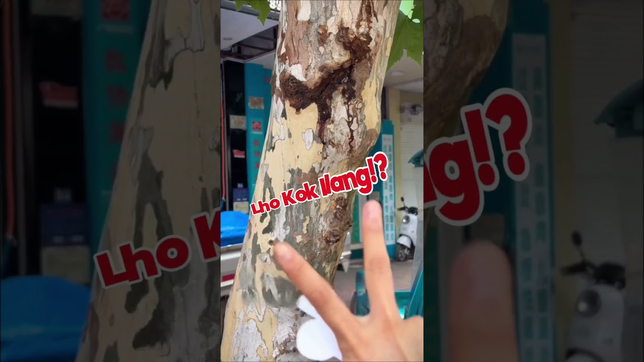 Cowok ini bikin karakter Mecha Chameleon dan dimainin di dunia nyata 😱 #shortviral